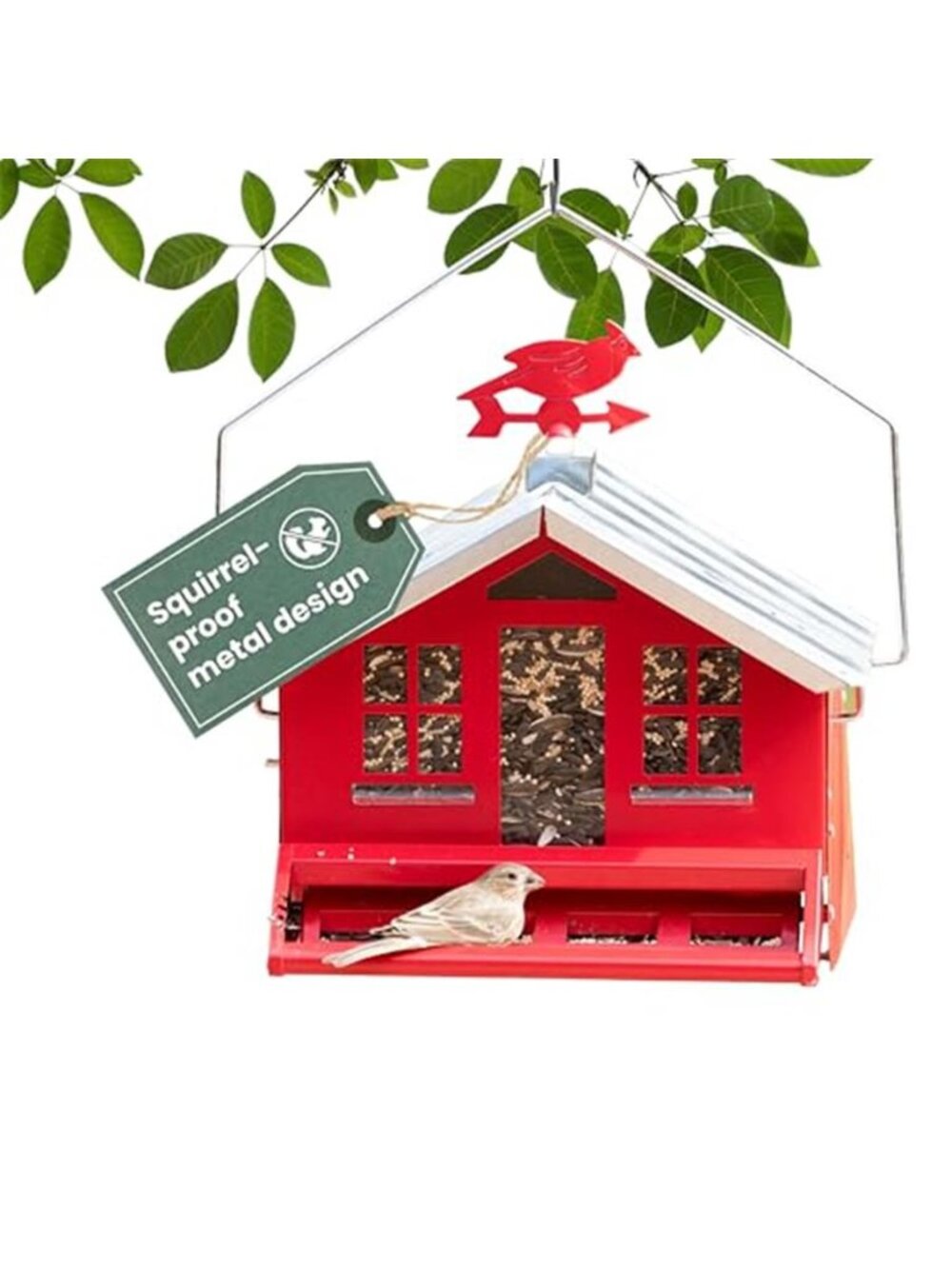 Squirrel-Be-Gone II Country Style Bird Feeder,8 lb Seed Capacity |Squirrel Proof